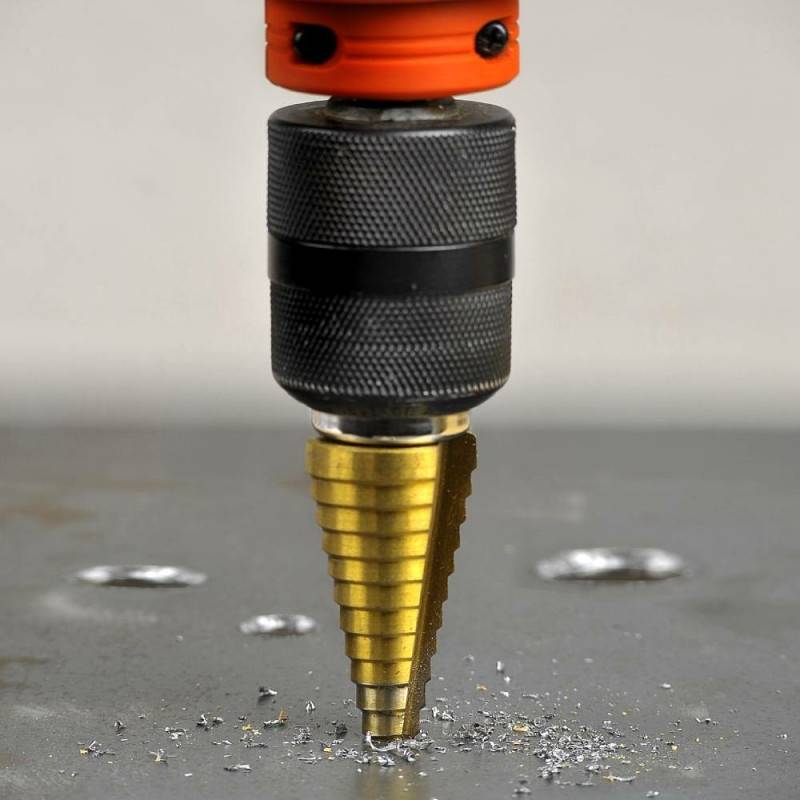 Forets coniques étagés - X2 (2)