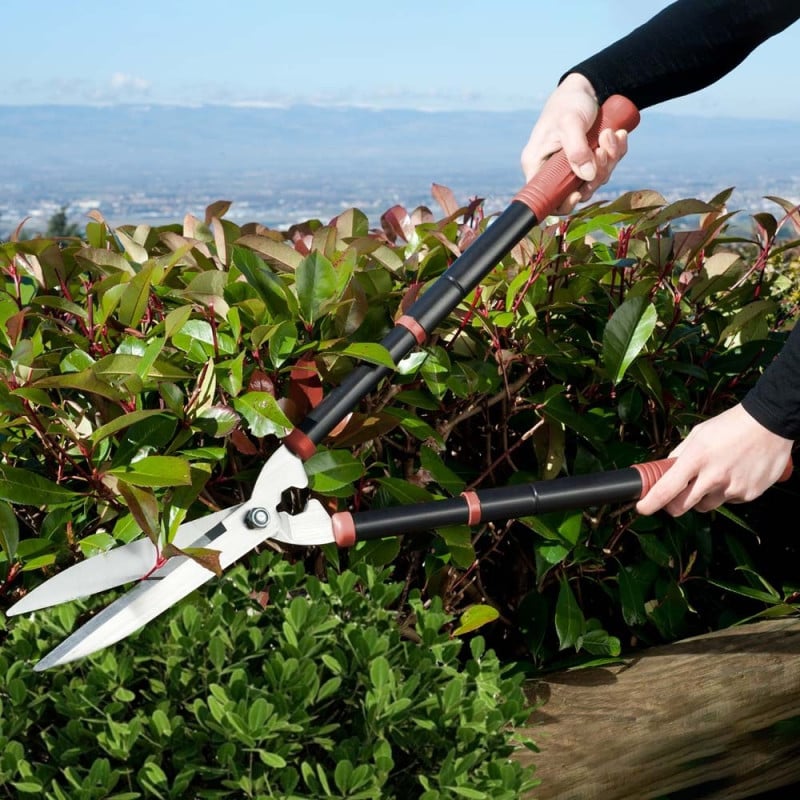 Kit sécateur télescopique, taille haie et sécateur à main (5)