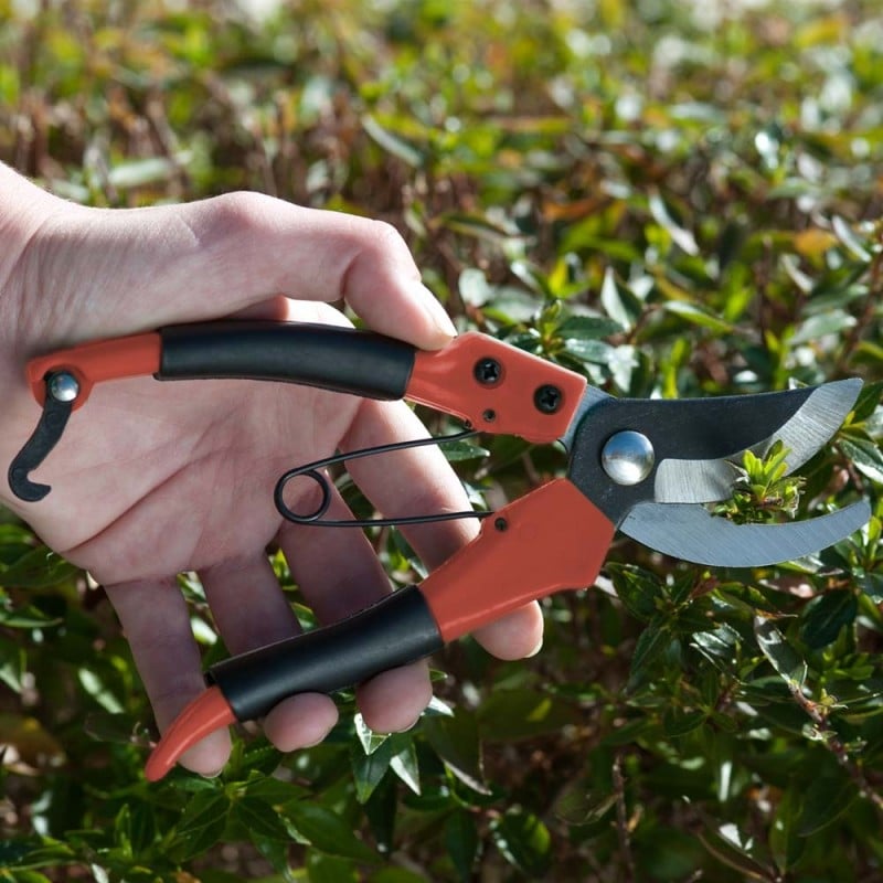 Comment bien choisir un sécateur pour la taille au jardin