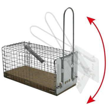 Nasse   piège à souris (3)