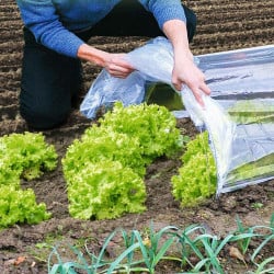 Tunnel de forçage accordéon souple 4 mètres (2)