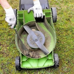 Spatule racloir tondeuse à gazon (1)