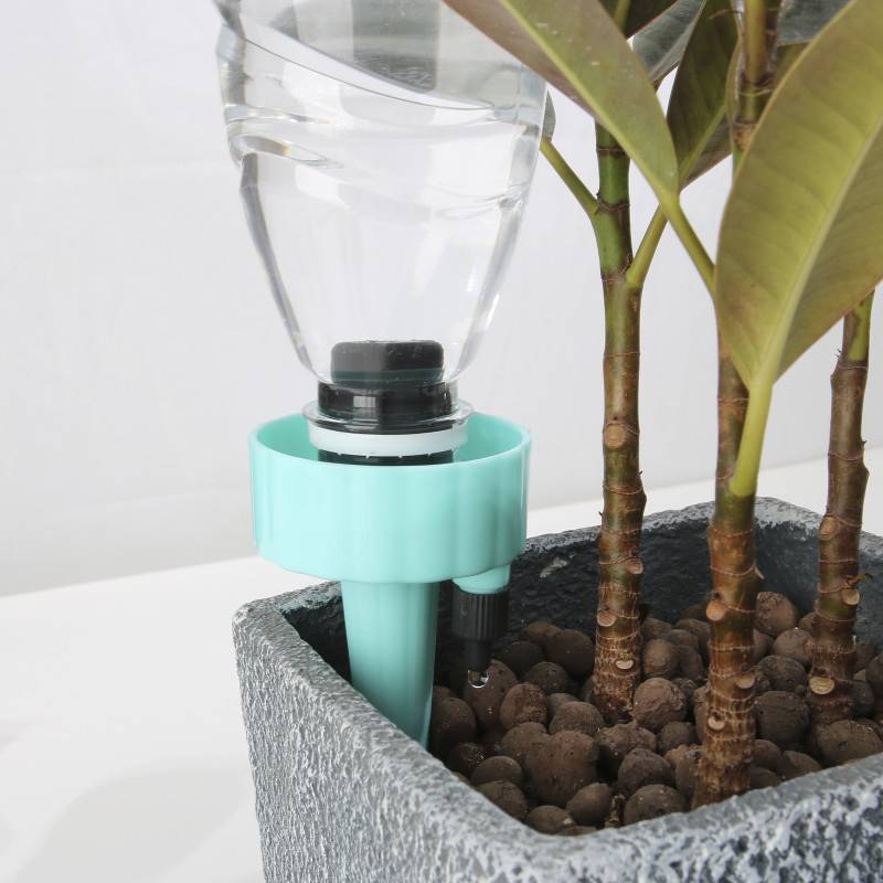 Cône d'arrosage - x12 (5)