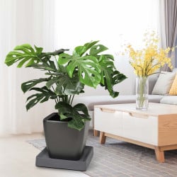 Support carré à roulettes invisibles pour plante et pot de fleurs (5)