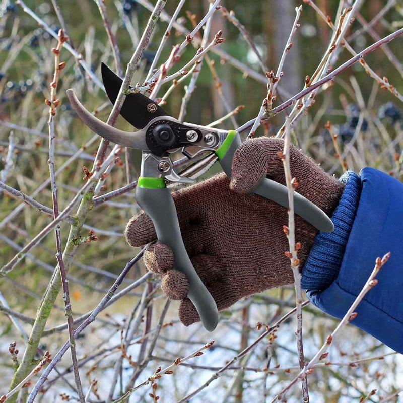Sécateur de jardin avec lame franche en acier carbone (3)