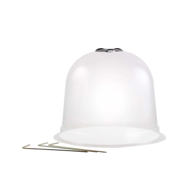 Cloches à salades plastique - Lot de 6 (1)