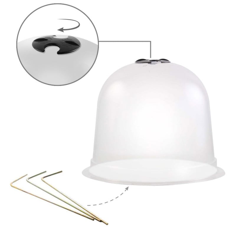 Cloches à salades plastique - Lot de 72 (2)