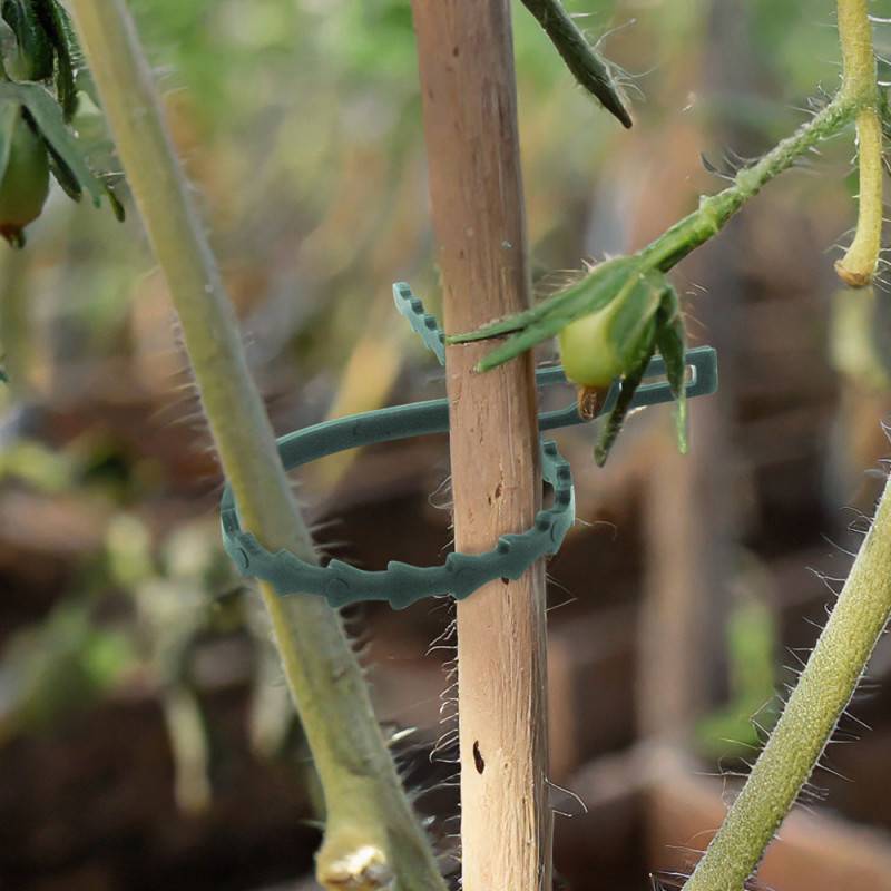 Attaches plante x 71 - clips, fil et liens réglables