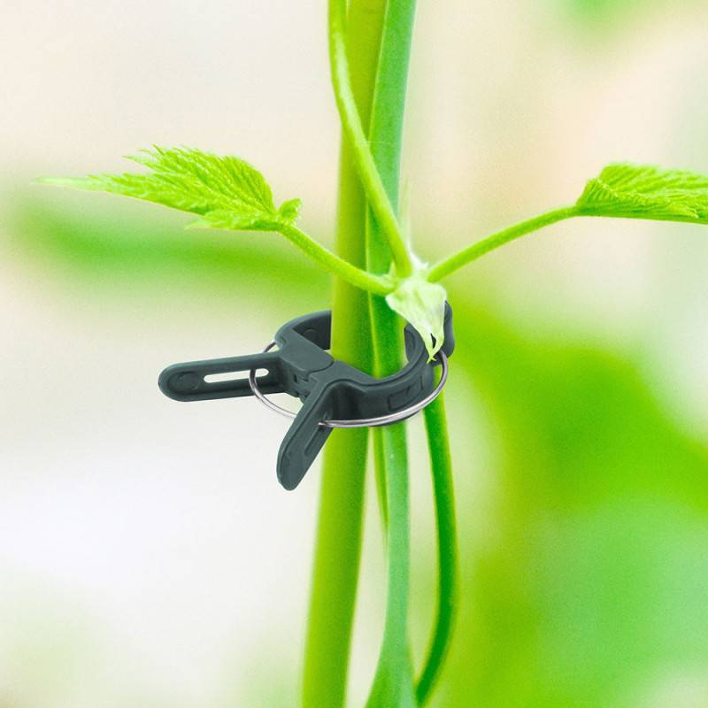 Attaches plante x 71 - clips, fil et liens réglables