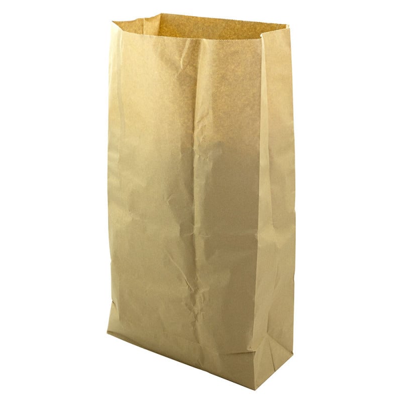 Sacs en papier compostables pour déchets verts et organiques 5 x 100 L