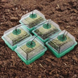 Plateau de germination pour semis avec lumière LED de croissance