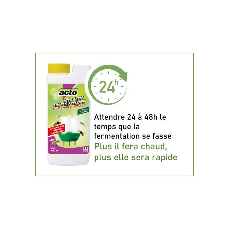 Attractif pour piège à frelons asiatiques ACTO