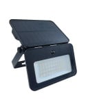 Projecteur extérieur solaire à LED avec détecteur de mouvement - 1000 lumens - IP65