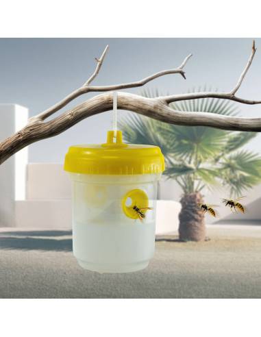 Piège à insectes avec réservoir : Capture redoutable et sans produit chimique