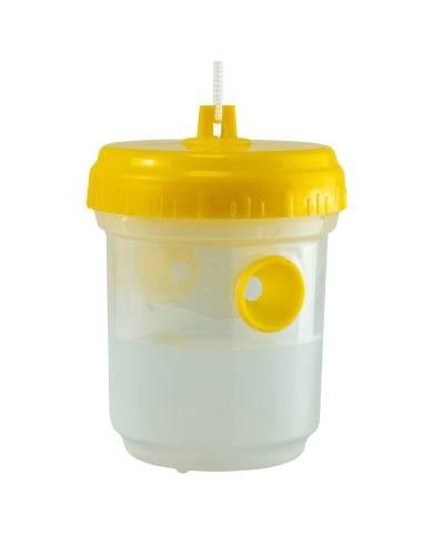 Piège à insectes avec réservoir : Capture redoutable et sans produit chimique