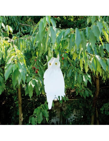 Effaroucheurs hiboux holographiques – Lot de 2