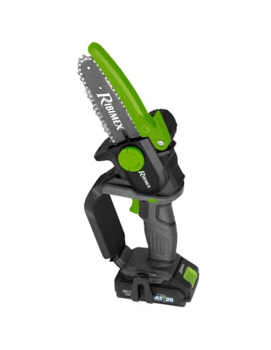 Elagueuse électrique sans fil 20V avec batterie 2 Ah et chargeur