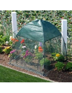 Serre pop up anti insectes à mailles fines - protection pour plantes et semis