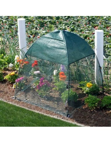 Serre pop up anti insectes à mailles fines - protection pour plantes et semis
