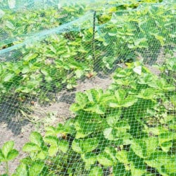 Filet de protection pour plantes et cultures