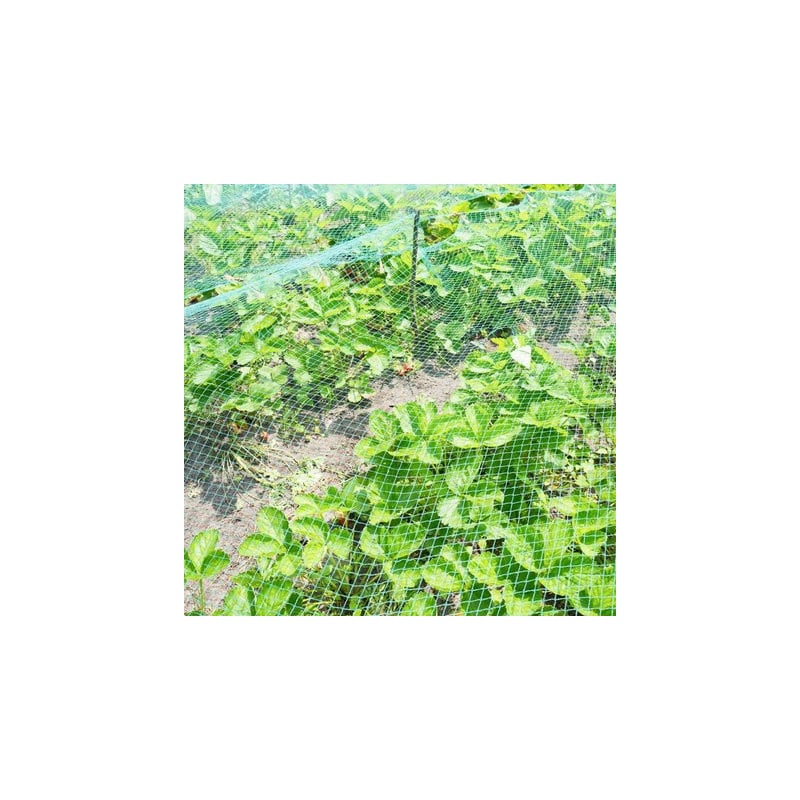 Filet de protection pour plantes et cultures