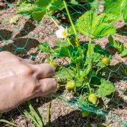 Filet de protection pour plantes et cultures