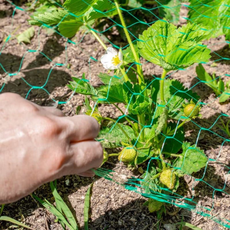 Filet de protection pour plantes et cultures