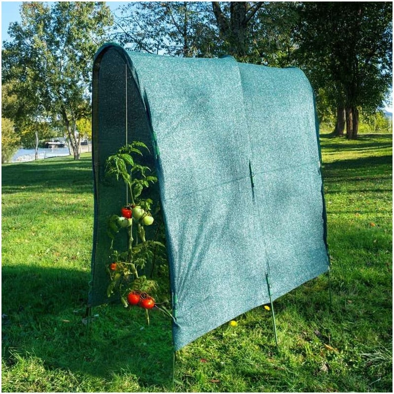 Serre à tomate avec protection dans un jardin.