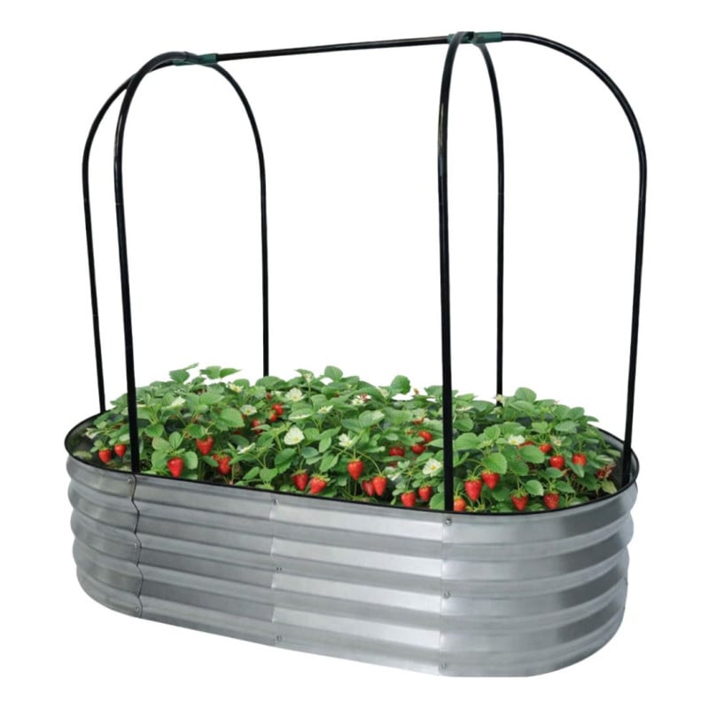 Carré potager en acier galvanisé surélevé avec filet de protection 120 x 60 x 11