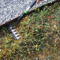 Râteau de désherbage 6 dents en acier noir