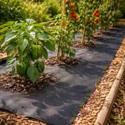 Bache de paillage 10 m 90 g/m² | Achat à prix pas cher