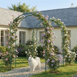 Lot de 2 arches de jardin en métal vert 240 x 140 cm pour plantes grimpantes