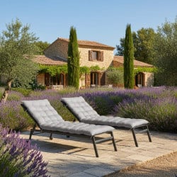 Coussin universel pour transat bain de soleil - gris x2