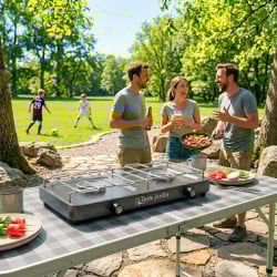 Réchaud de camping gazinière 2 feux TERRA'GAZ
