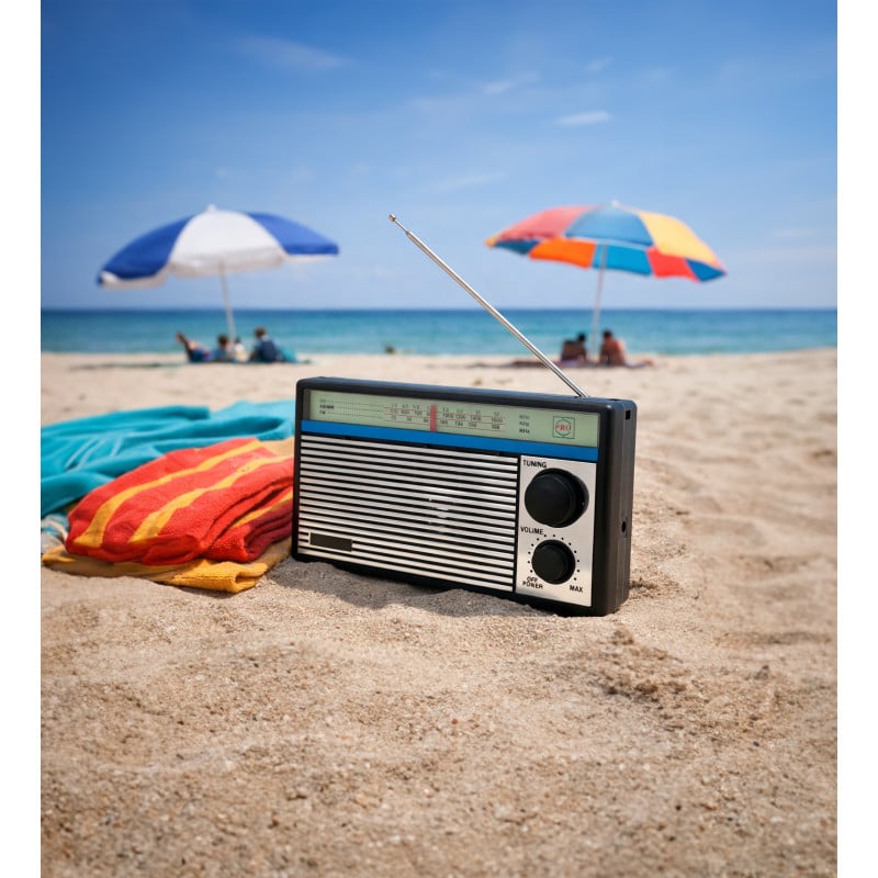 Radio portable à piles AM FM SW - Camping