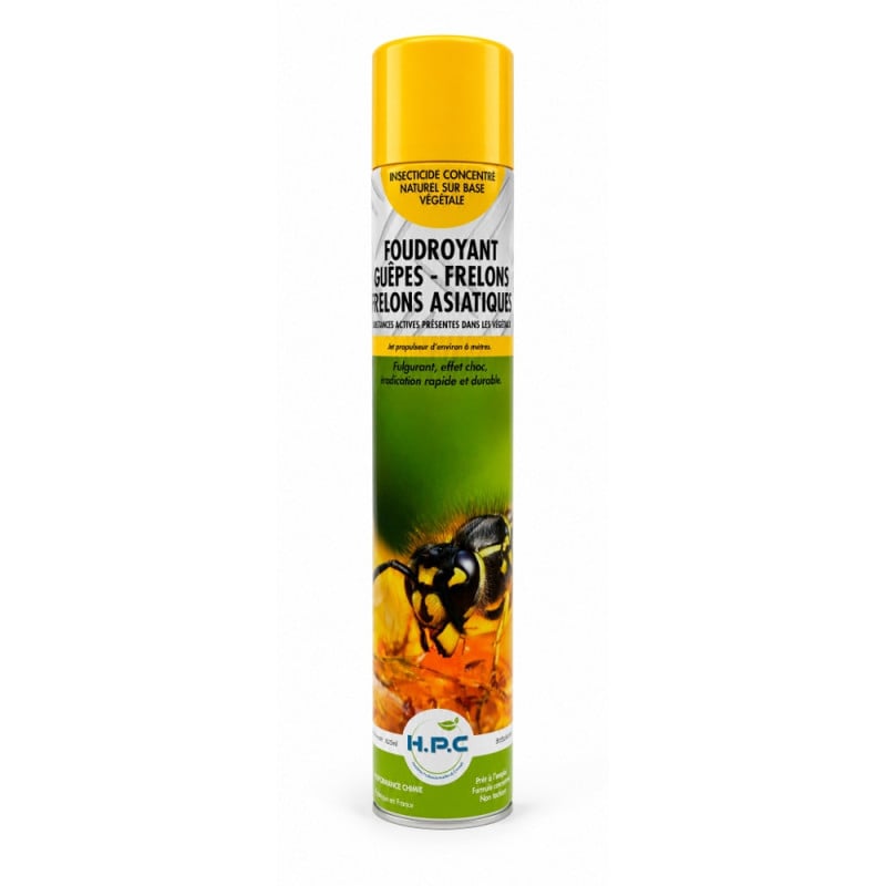 Aérosol foudroyant anti-guêpes et frelons