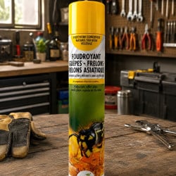 Aérosol foudroyant anti-guêpes et frelons