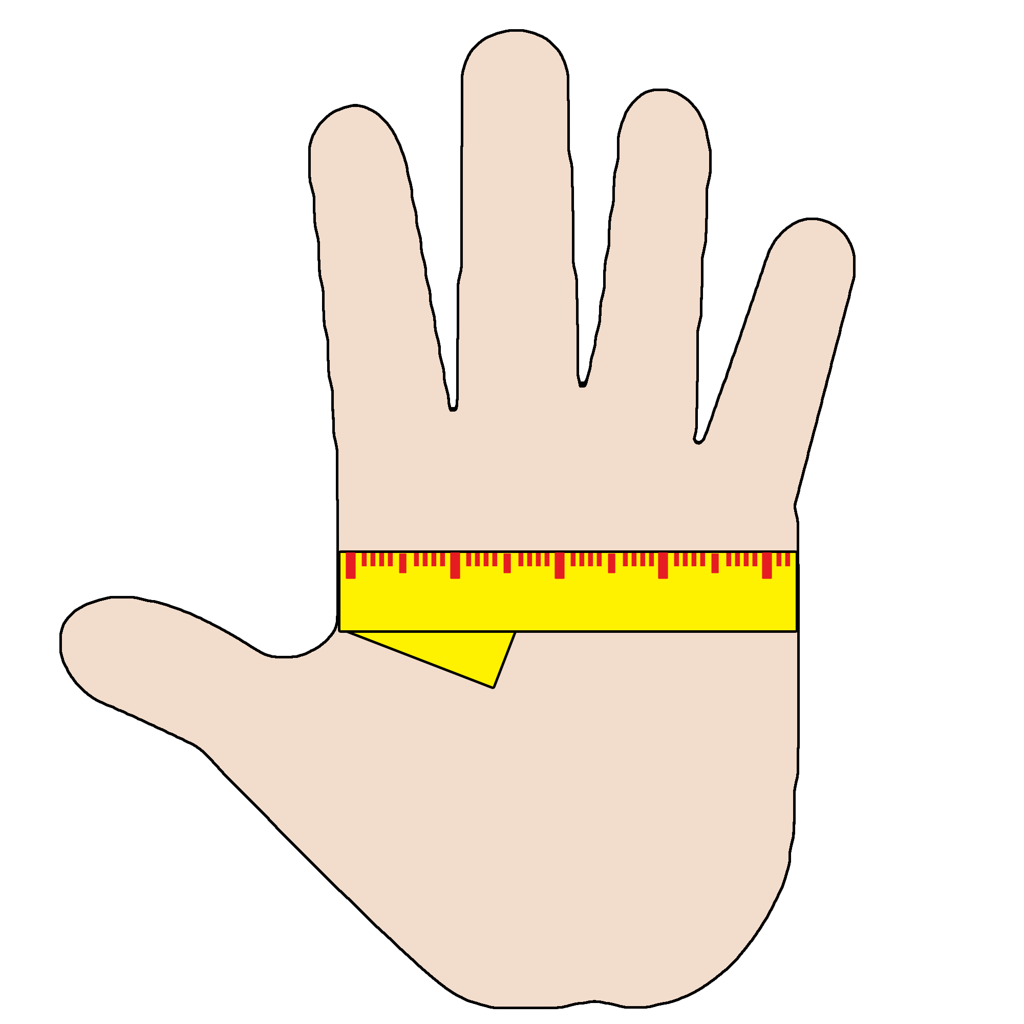 Mesurez la taille idéale de vos gants pour votre main !