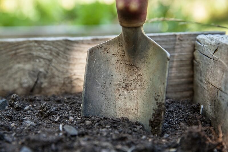 jardinage après l'hiver jardiner au printemps