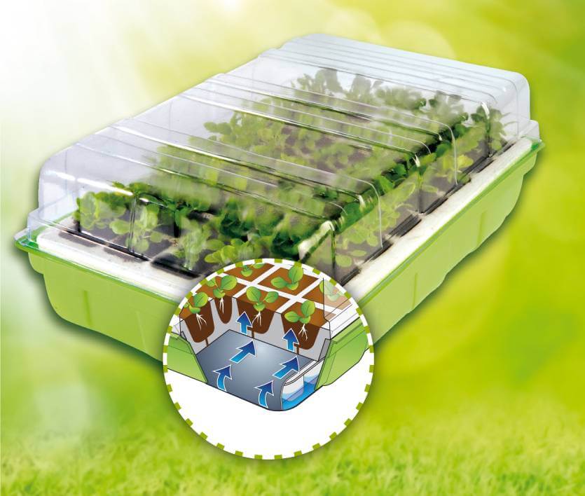 Comment utiliser un kit de germination ? Test d'un vendeur Shopix.