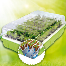 Kit de germination