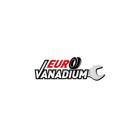 EURO VANADIUM