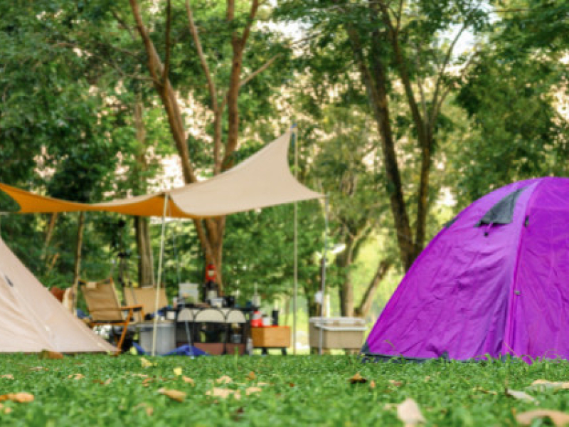 Les indispensables à emporter pour un pique-nique ou une journée camping réussie