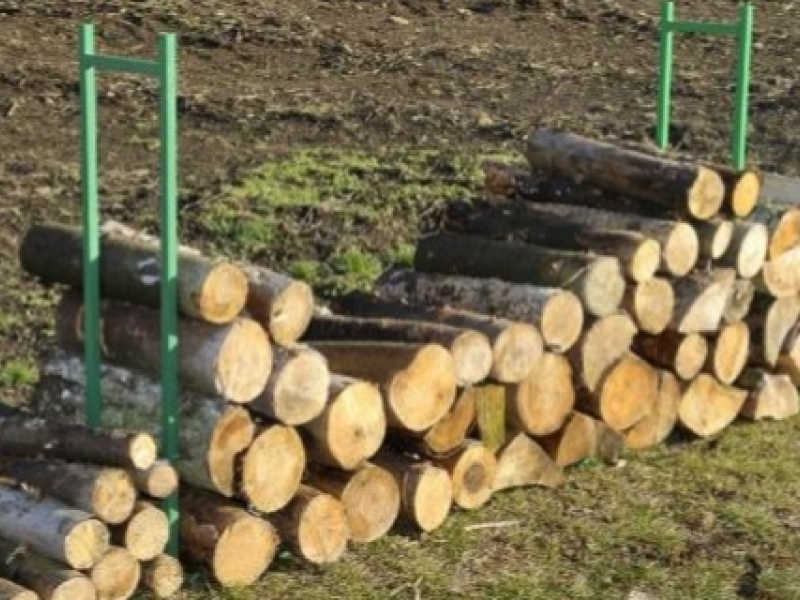 Comment bien ranger son bois de chauffage ?