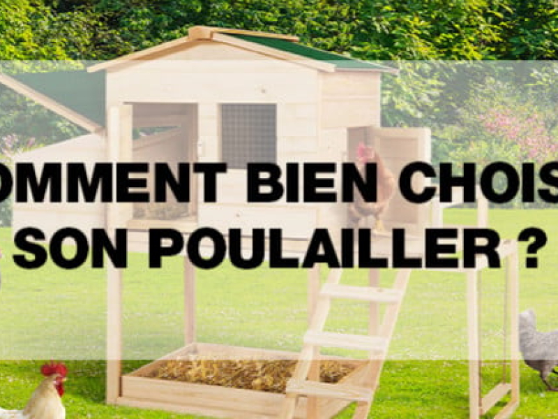 Comment bien choisir son poulailler ?