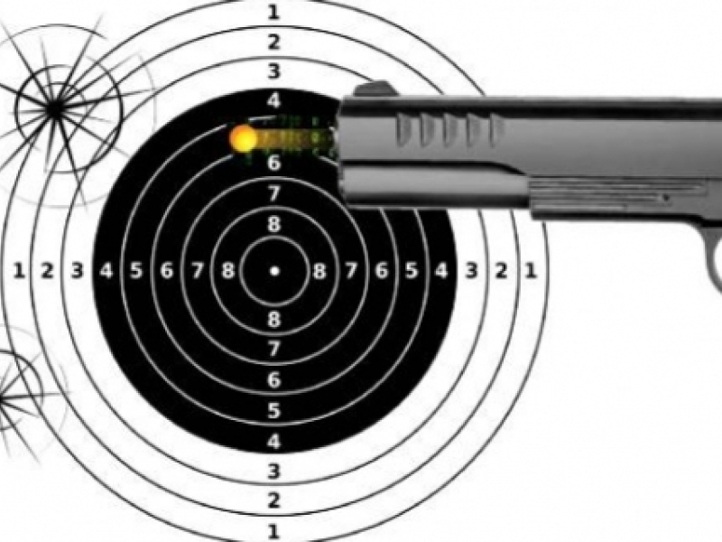 Le pistolet à billes, un loisir qui fait mouche