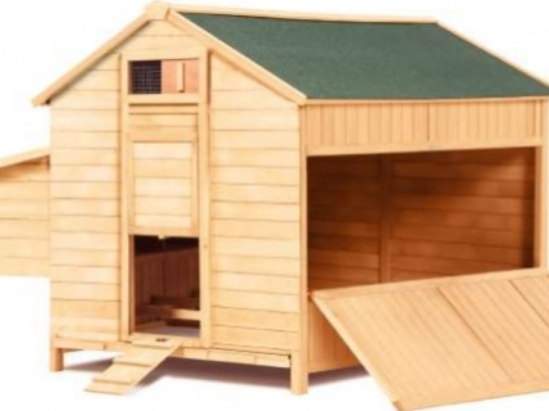 Pourquoi acheter et installer un poulailler en bois ?