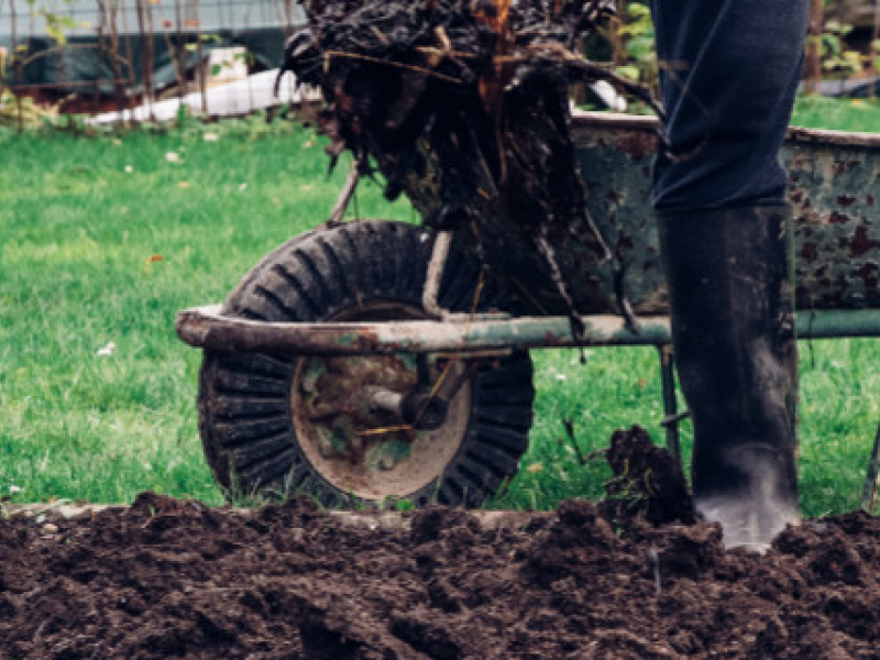 Comment hiverner son potager ?
