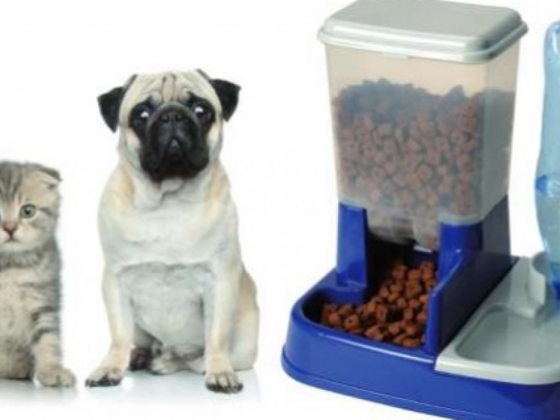 Distributeur de croquettes pour chien et chat, comment ça fonctionne?