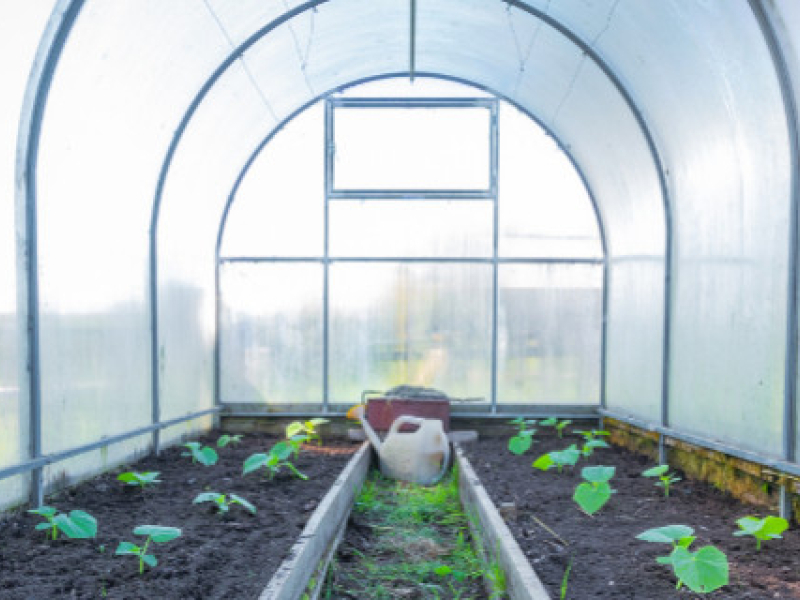 Quand installer une serre de jardin ?